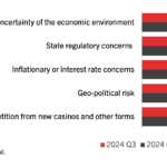 Bar graph titled "What Types of Work Do You Plan To Do?" with data for Q3 2024 and Q1 2024. Types include Website, Mobile App, Other, Coding, Testing, shown in descending order for Q3. Percentages range from 28% to 56%.